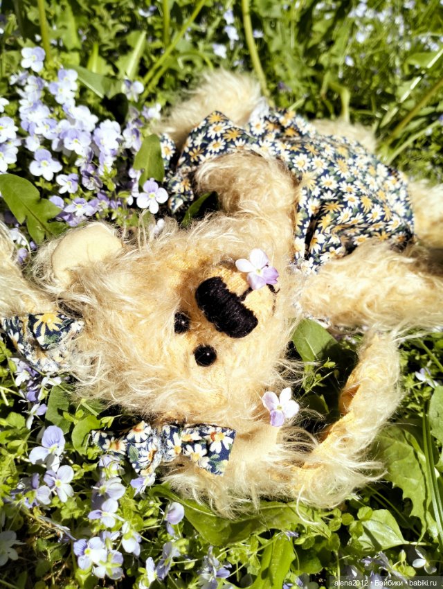 Медведи на даче, отчёт о прогулке