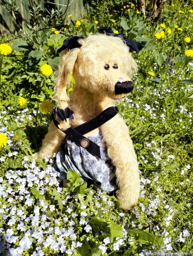 Медведи на даче, отчёт о прогулке