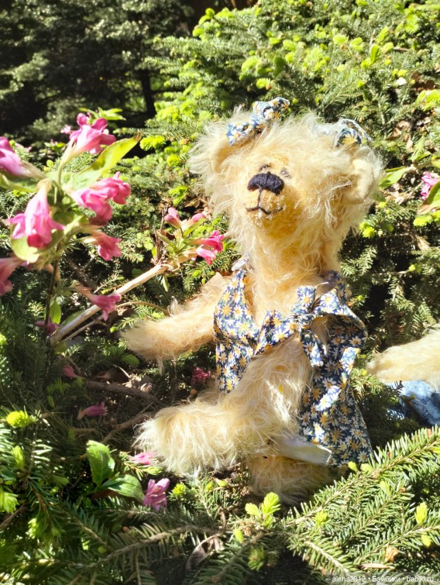 Медведи на даче, отчёт о прогулке