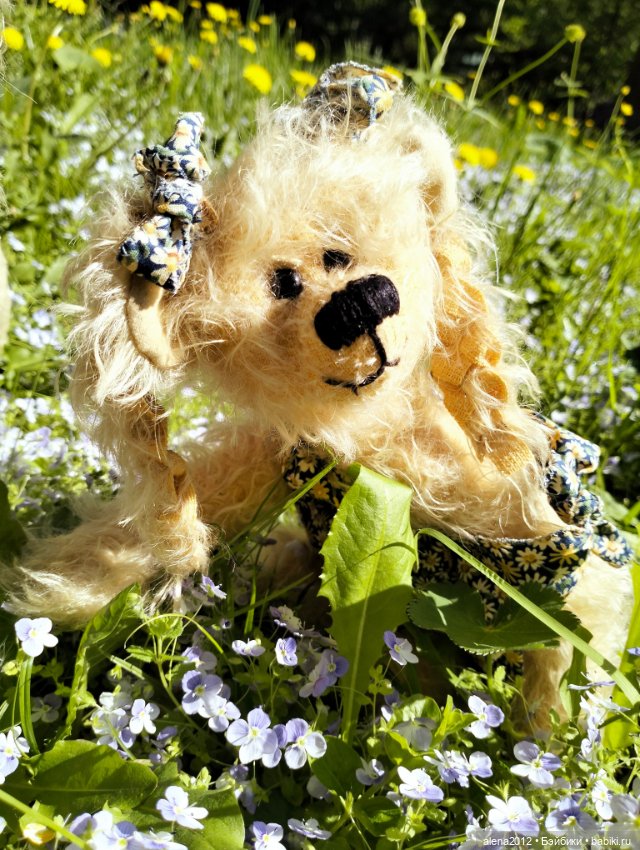 Медведи на даче, отчёт о прогулке (фото 10)