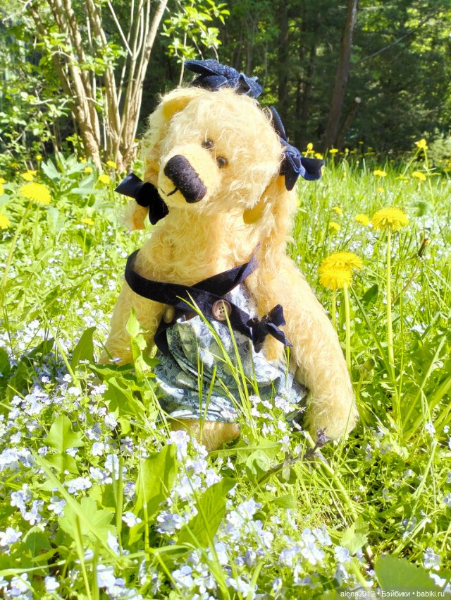 Медведи на даче, отчёт о прогулке (фото 2)