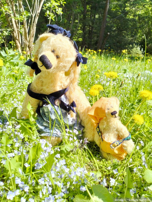 Медведи на даче, отчёт о прогулке (фото 3)