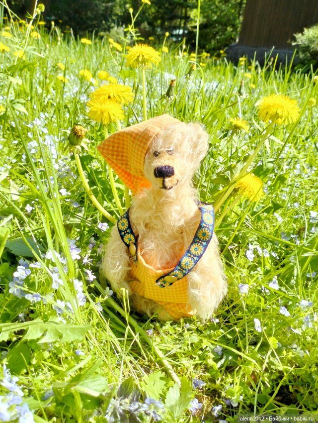 Медведи на даче, отчёт о прогулке (фото 6)