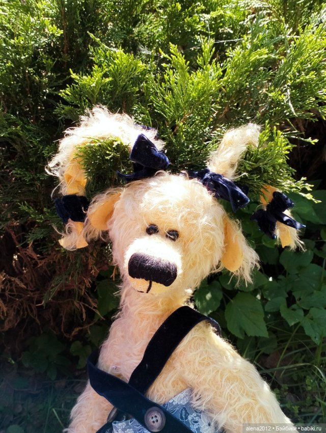 Медведи на даче, отчёт о прогулке