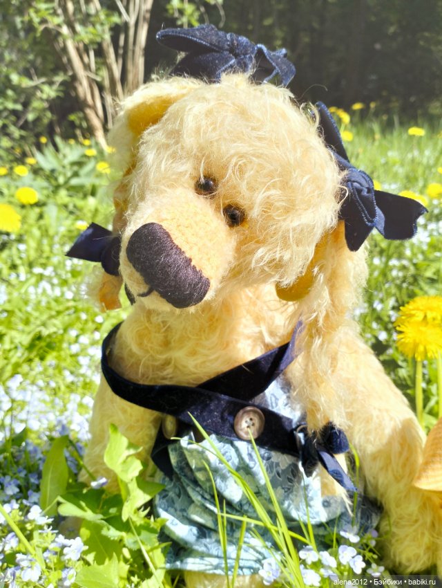 Медведи на даче, отчёт о прогулке (фото 4)