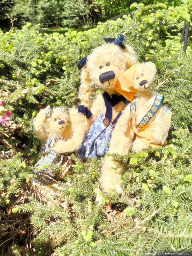 Медведи на даче, отчёт о прогулке