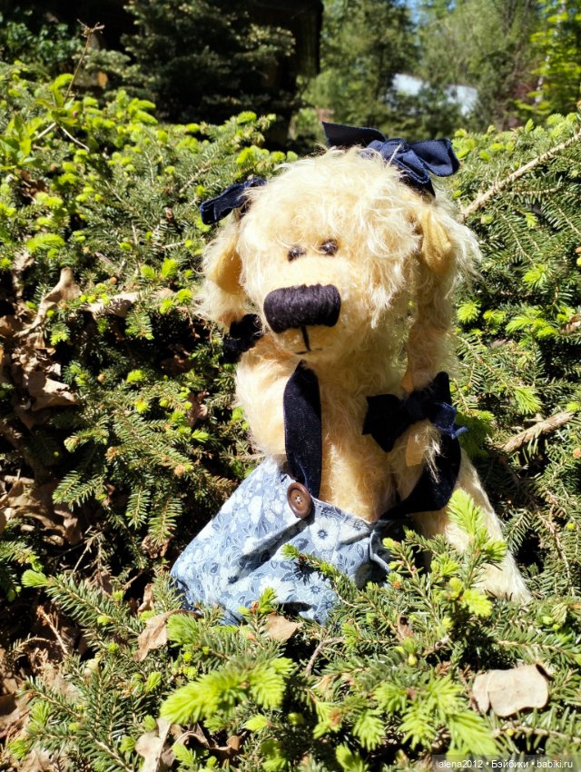 Медведи на даче, отчёт о прогулке