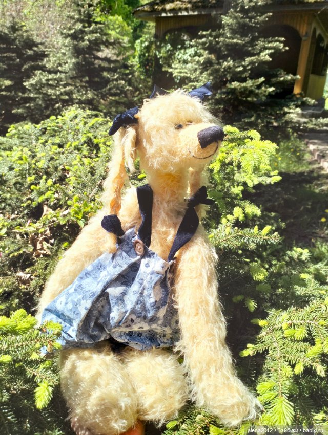 Медведи на даче, отчёт о прогулке