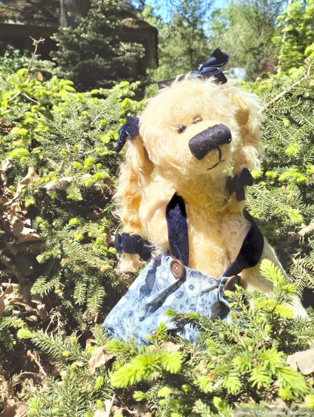 Медведи на даче, отчёт о прогулке