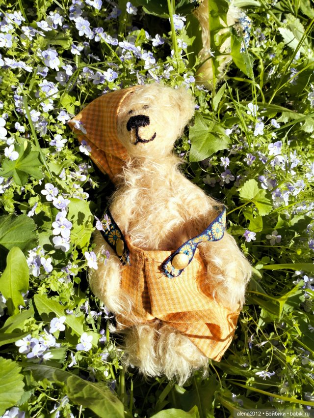 Медведи на даче, отчёт о прогулке