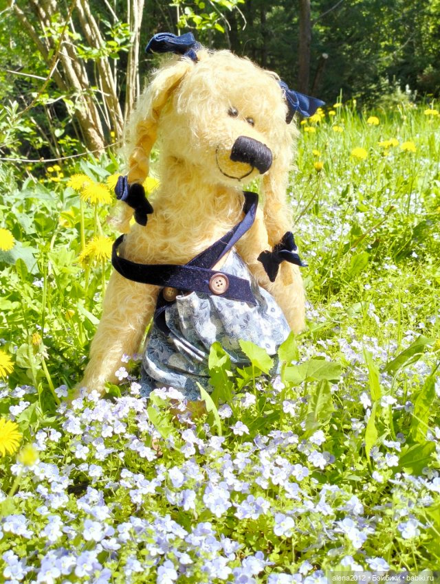 Медведи на даче, отчёт о прогулке (фото 5)