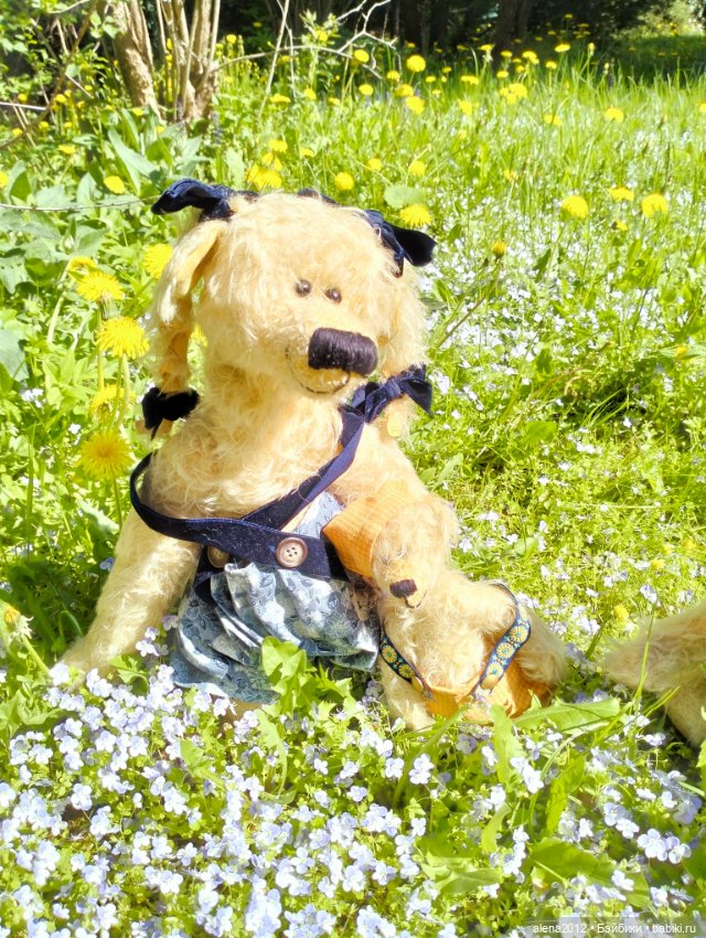 Медведи на даче, отчёт о прогулке