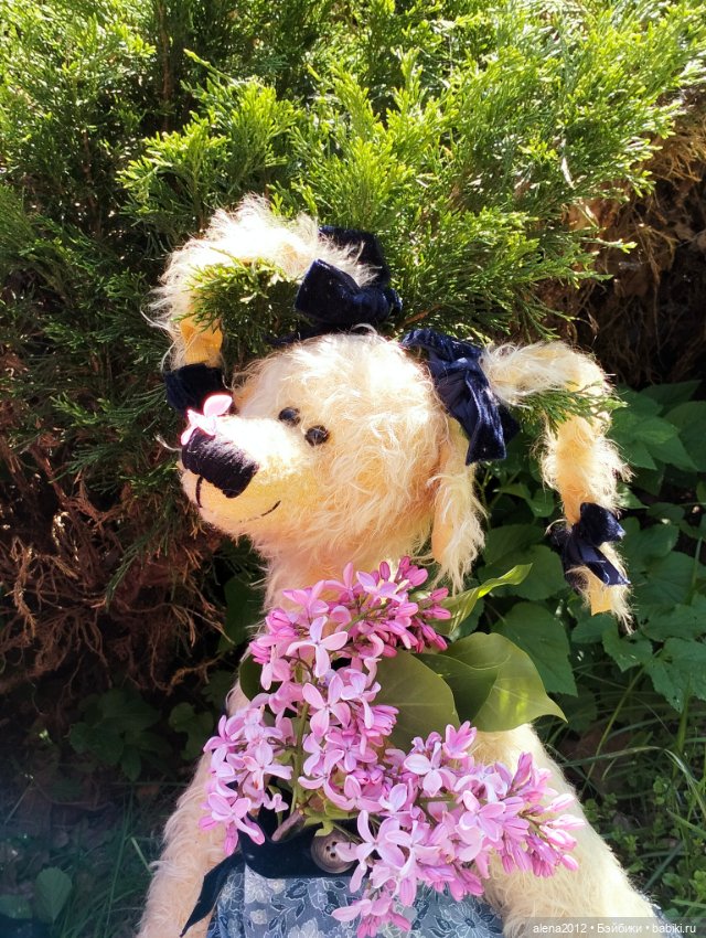 Медведи на даче, отчёт о прогулке