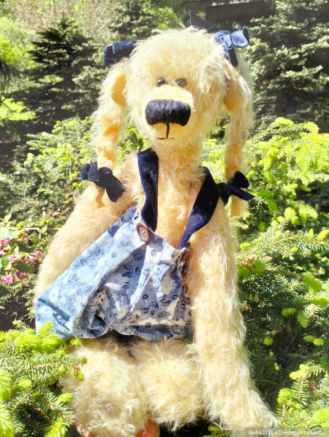 Медведи на даче, отчёт о прогулке