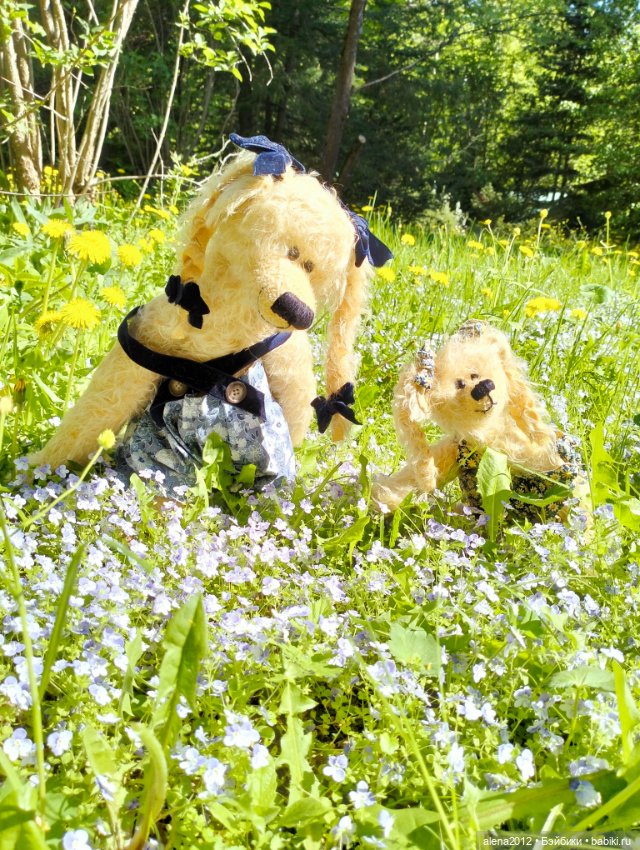 Медведи на даче, отчёт о прогулке (фото 9)