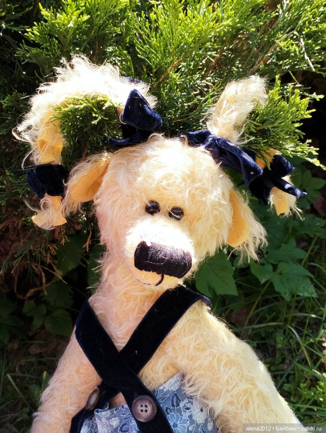 Медведи на даче, отчёт о прогулке