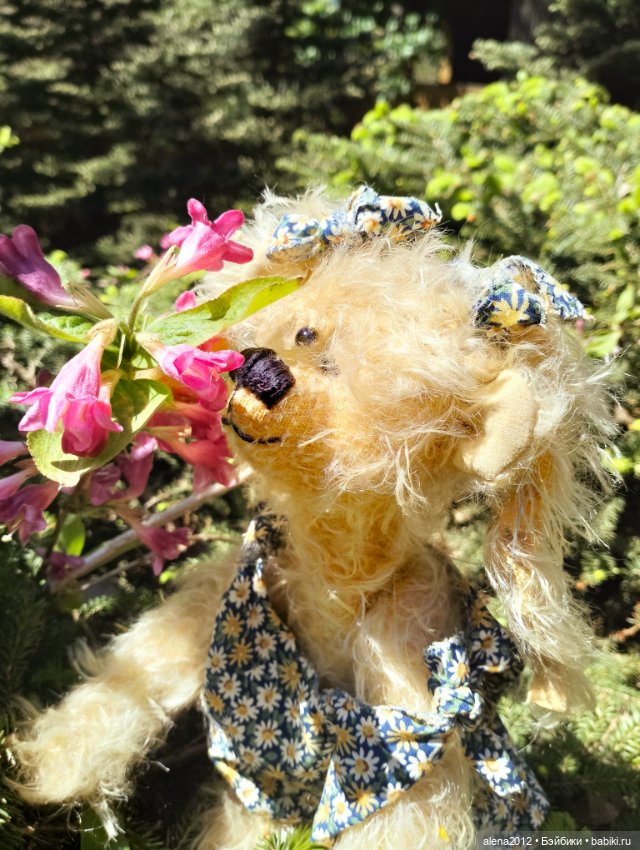 Медведи на даче, отчёт о прогулке