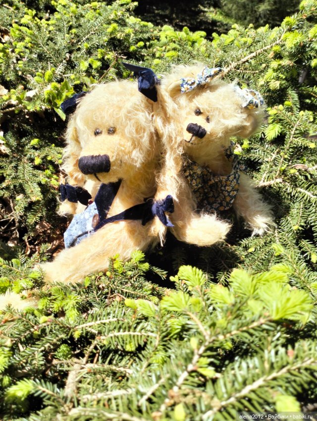 Медведи на даче, отчёт о прогулке