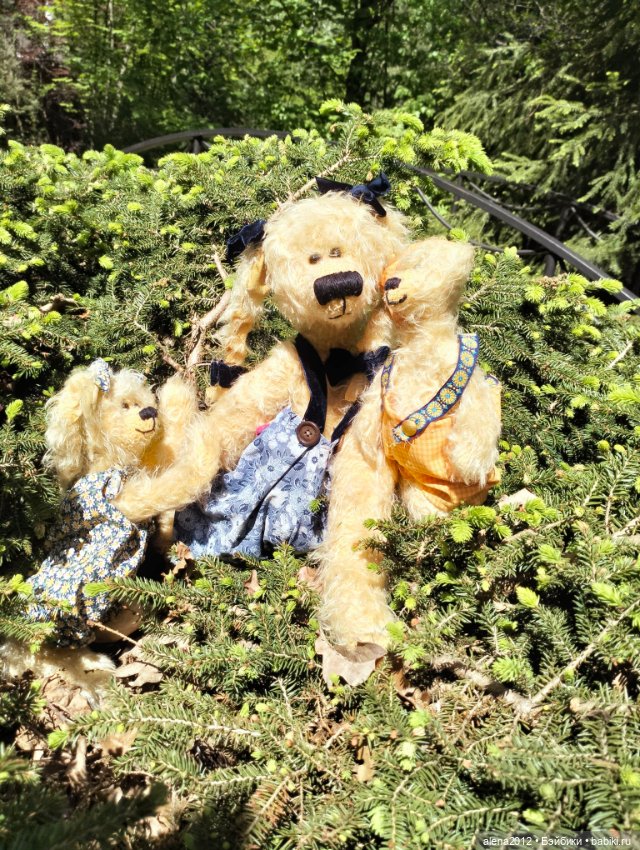 Медведи на даче, отчёт о прогулке