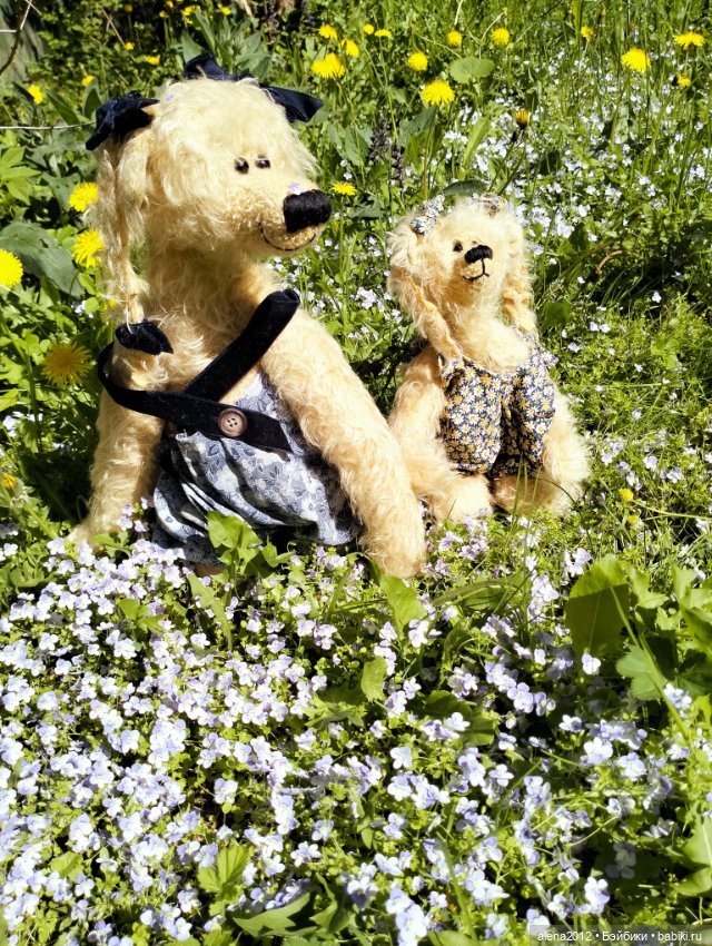 Медведи на даче, отчёт о прогулке