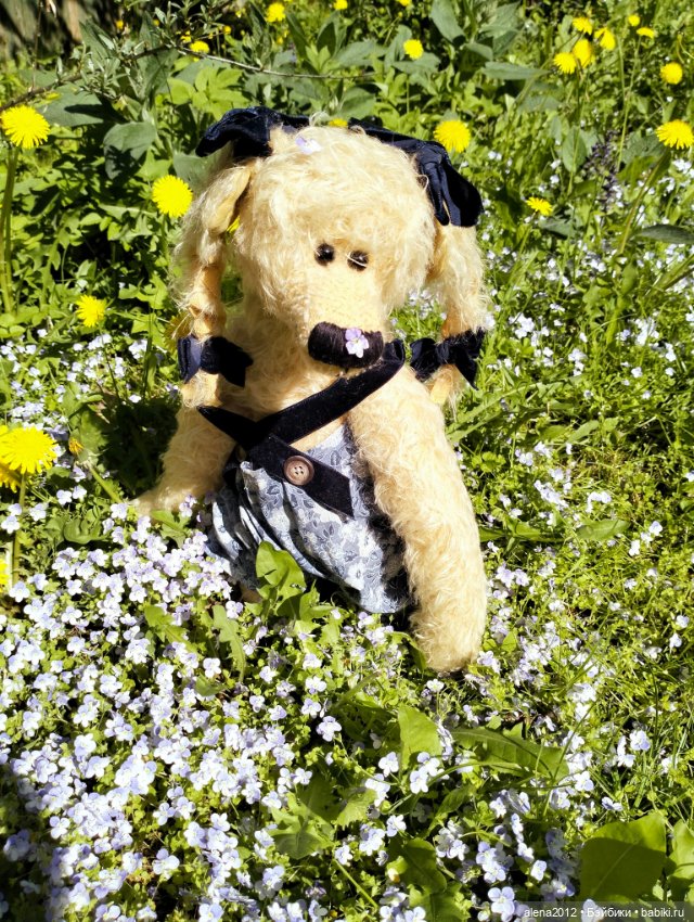 Медведи на даче, отчёт о прогулке