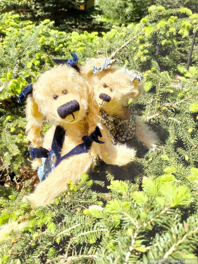 Медведи на даче, отчёт о прогулке