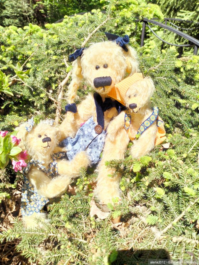 Медведи на даче, отчёт о прогулке