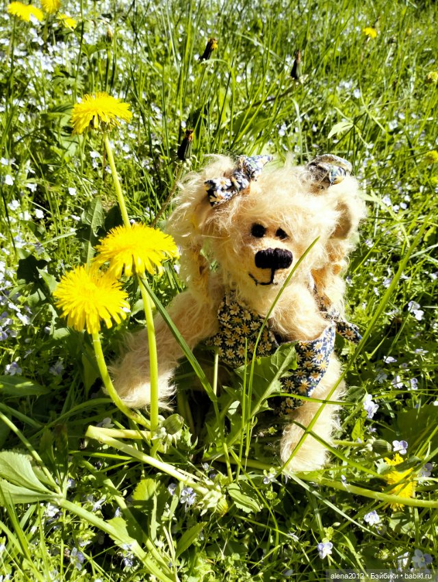 Медведи на даче, отчёт о прогулке