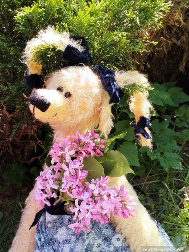 Медведи на даче, отчёт о прогулке