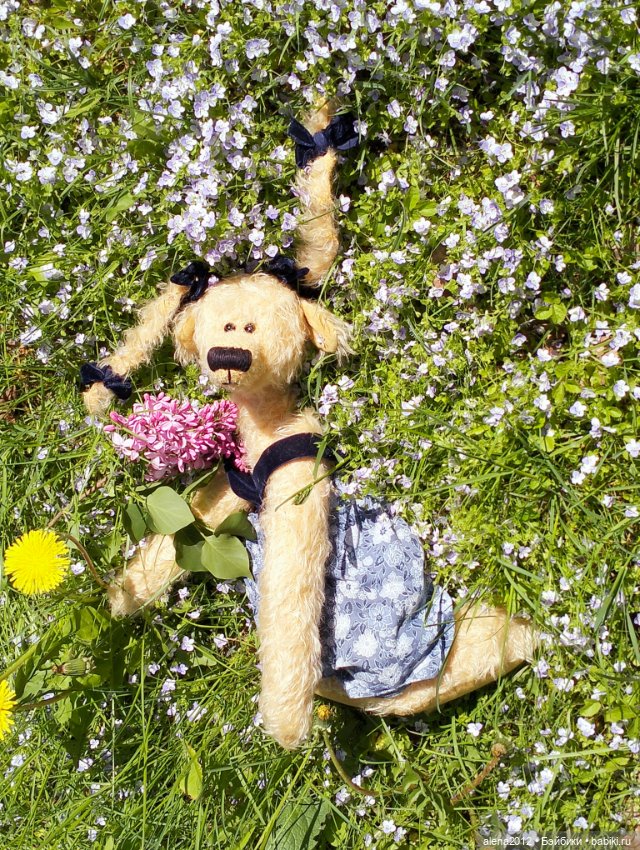 Медведи на даче, отчёт о прогулке