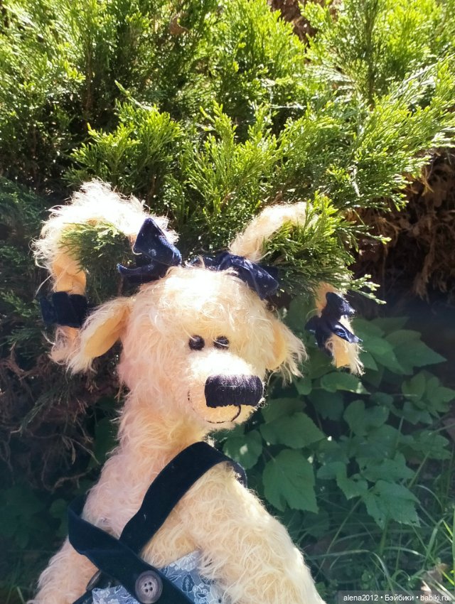 Медведи на даче, отчёт о прогулке