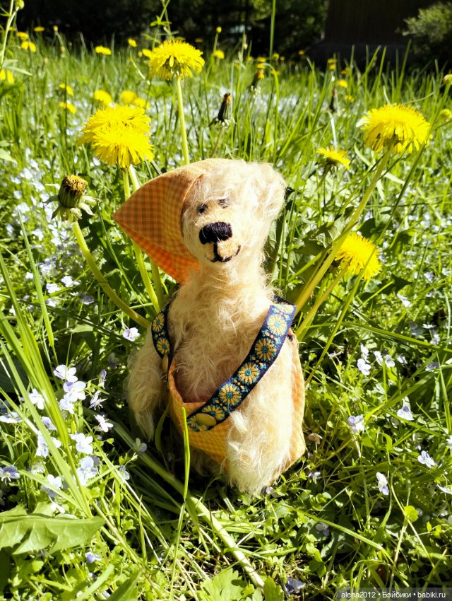 Медведи на даче, отчёт о прогулке (фото 7)