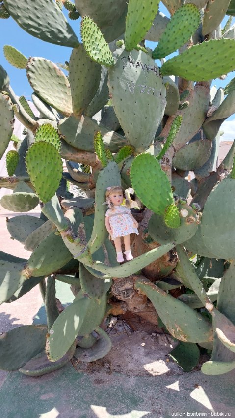 Нела и кактусы — Куклы Beatrice Perini (Беатрис Перини): эмоциональные дети (фото 6)