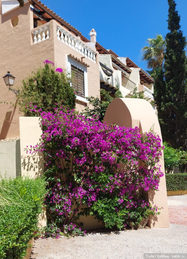 Нела и кактусы — Куклы Beatrice Perini (Беатрис Перини): эмоциональные дети (фото 5)