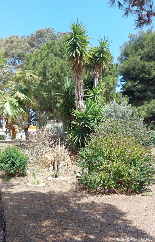 Нела и кактусы — Куклы Beatrice Perini (Беатрис Перини): эмоциональные дети (фото 4)