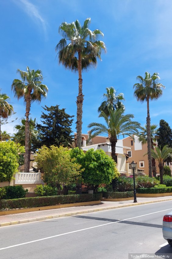 Нела и кактусы — Куклы Beatrice Perini (Беатрис Перини): эмоциональные дети (фото 9)