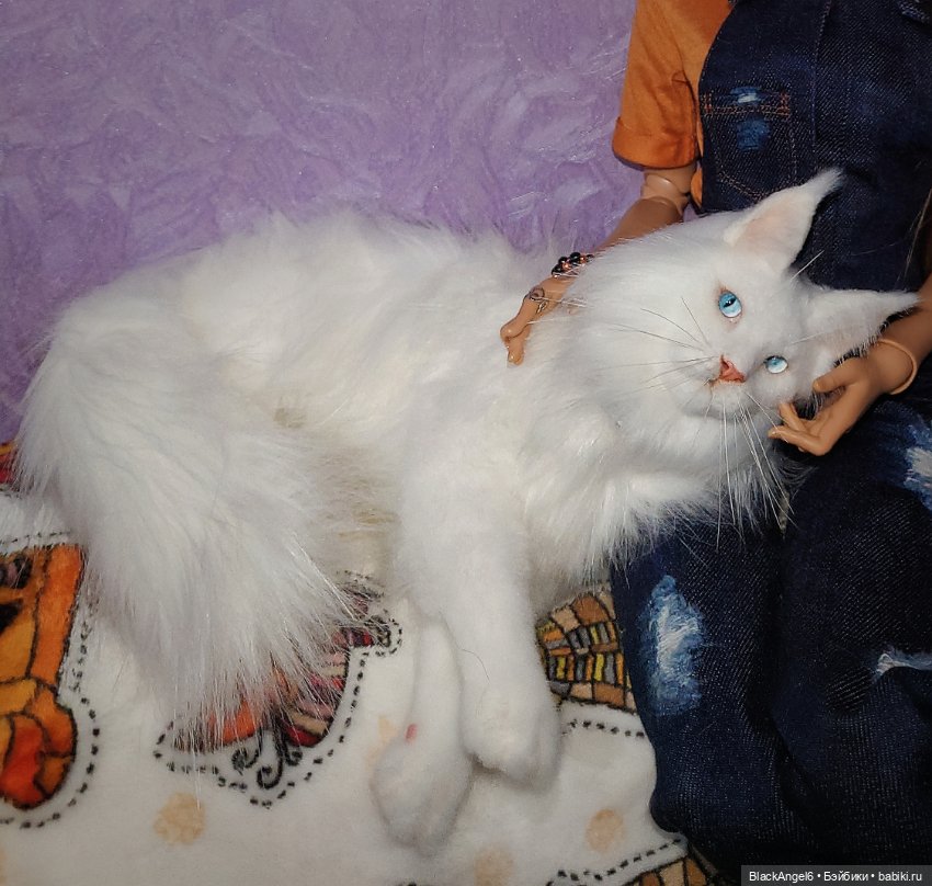 Снежок выбрал хозяйку — Фотоистории с куклами BJD (БЖД): сериалы