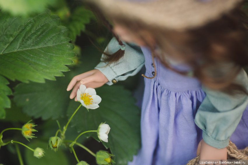 ООАК Paola Reina. Ника в огороде с цветущей клубникой (фото 5)
