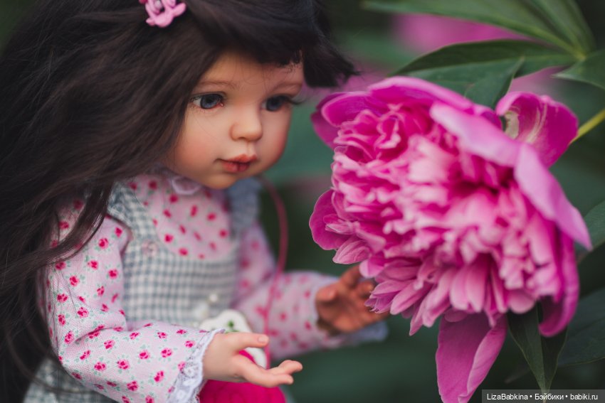 OOAK Paola Reina. Поля и пионы (фото 3)