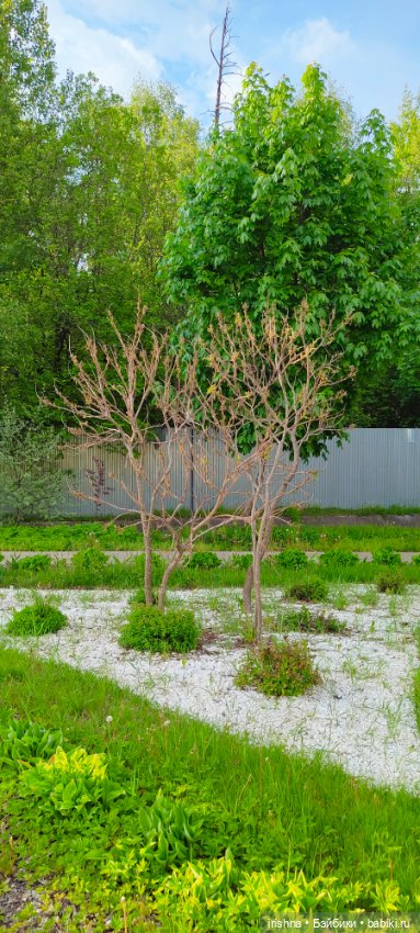 Лабутенки и природа — Фэшн