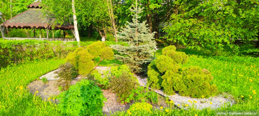 Лабутенки и природа — Фэшн