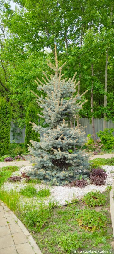 Лабутенки и природа — Фэшн (фото 5)