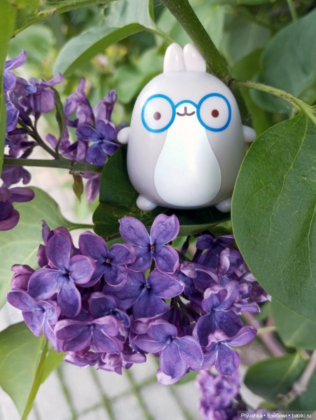 Продолжу про сирень — Фигурки Киндер Сюрприз (Kinder) (фото 6)