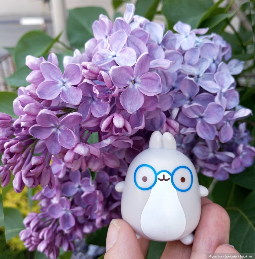 Продолжу про сирень — Фигурки Киндер Сюрприз (Kinder) (фото 10)