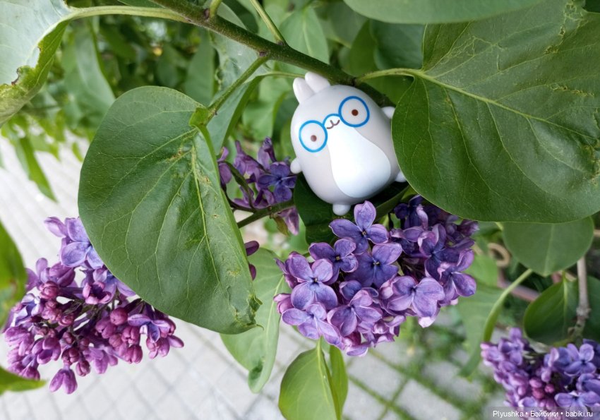 Продолжу про сирень — Фигурки Киндер Сюрприз (Kinder) (фото 7)