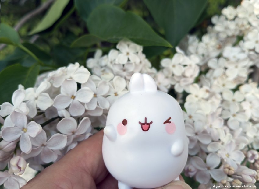 Продолжу про сирень — Фигурки Киндер Сюрприз (Kinder) (фото 5)