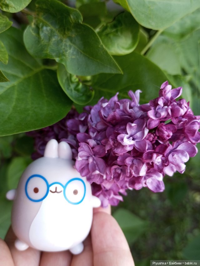 Продолжу про сирень — Фигурки Киндер Сюрприз (Kinder) (фото 8)