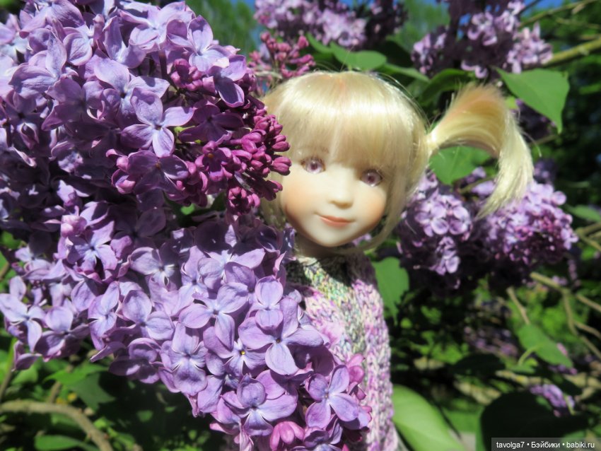 Ruby Red Siblies Стелла в Сиреневом парке в Москве (фото 2)