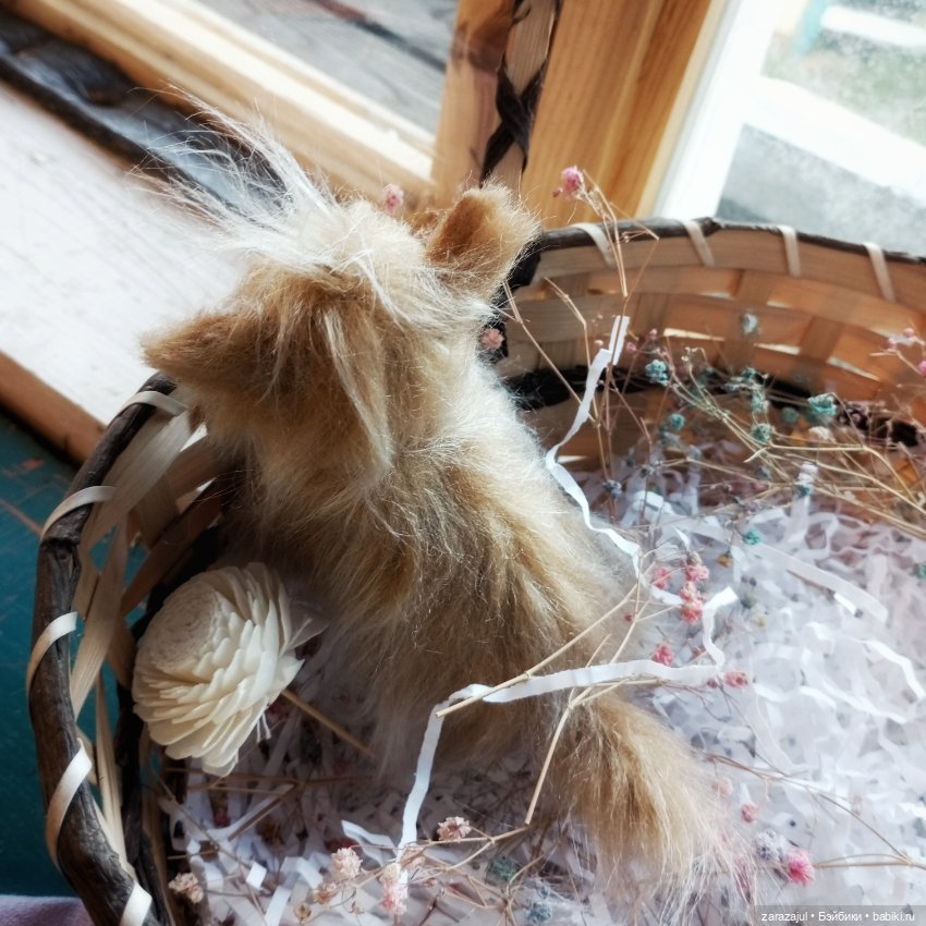 Пушистая малышка в процессе (фото 4)