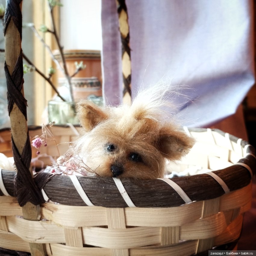 Пушистая малышка в процессе (фото 3)